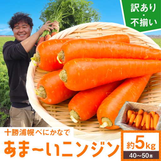 十勝 浦幌べにかなで 人参 訳あり 不揃い 約5kg 農事組合法人レギューム