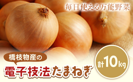 十勝 電子技法栽培たまねぎ 約10kg [10月上旬から順次出荷]橋枝物産 北海道 浦幌町