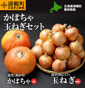 かぼちゃ(2玉)とたまねぎ(約5kg)のセット 橋枝物産