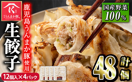 s600 タレ付き!鹿児島うんまか豚生餃子(計48個・12個入り×4P) 鹿児島 冷凍 にんにく・ニラ不使用 国産野菜100% ぎょうざ 餃子 ギョーザ 焼き餃子 水餃子 生餃子 おかず[肉の寺師]