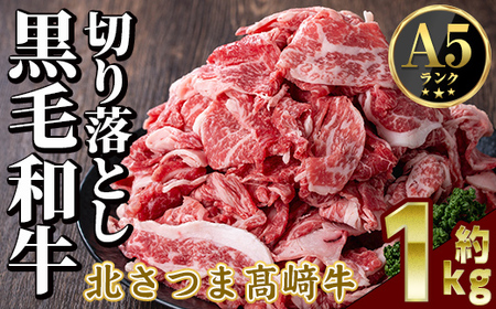 s590 鹿児島県産 北さつま高崎牛 切り落とし肉 (計約1kg・約500g×2) 黒毛和牛 A5ランク A5 雌牛 切落し 切り落し 牛肉 小分け お肉 真空パック [太田家]