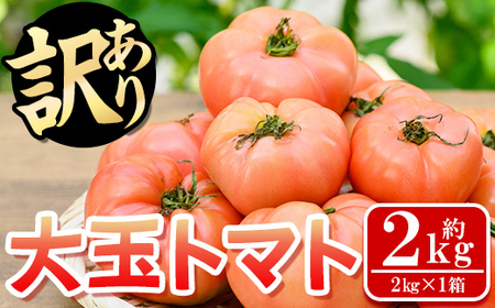 s613 [先行予約受付中!2025年11月より順次発送予定][期間・数量限定][訳あり]大玉トマト(約2kg) 鹿児島 国産 九州産 野菜 やさい 新鮮 とまと トマト 訳あり 規格外 ご家庭用 産地直送 サラダ [吉祥庵園芸]