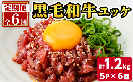 s707 [定期便・全6回(連続月)]鹿児島県産黒毛和牛ユッケ(計1.2kg・40g×5パック×6回) 鹿児島 国産牛 九州産 牛肉 黒牛 生食用 小分け 冷凍 ユッケ 黒毛和牛 牛 [カミチク]