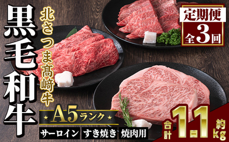 s702 [定期便・全3回]鹿児島県産 北さつま高崎牛 プレミアムセット (合計約1.1kg) 黒毛和牛 牛肉 A5ランク A5等級 ステーキ サーロイン 霜降り サシ 赤身 すきやき すき焼き しゃぶしゃぶ 焼肉 セット 真空パック 冷凍 [太田家]