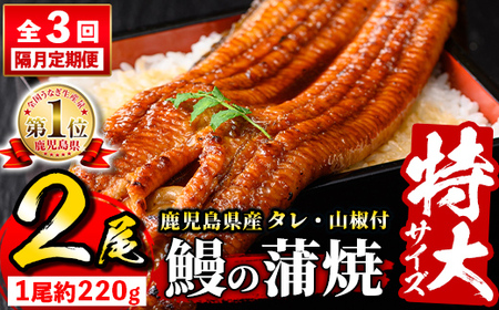 s732 [隔月・定期便3回]＼特大サイズ/ 鹿児島県産 鰻蒲焼真空セット!(計約1.32kg・約220g×2尾×3回) タレ・山椒付! 鹿児島 九州産 国産 うなぎ ウナギ 鰻 土用の丑の日 蒲焼き うな重 ひつまぶし 定期便 隔月 1ヶ月おきに 冷凍 [薩摩川内]