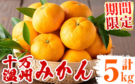 s765 ≪先行予約受付中!2025年12月中旬より順次発送≫十万温州みかん(計約5kg・M〜Lサイズ) 鹿児島 国産 九州産 フルーツ 柑橘 みかん 蜜柑 [田野農園]