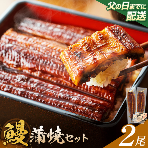 【父の日】 鰻 うなぎ 蒲焼き 2尾 (1尾約140g) タレ 山椒 付き 株式会社薩摩川内鰻《6月中旬-6月下旬頃出荷》