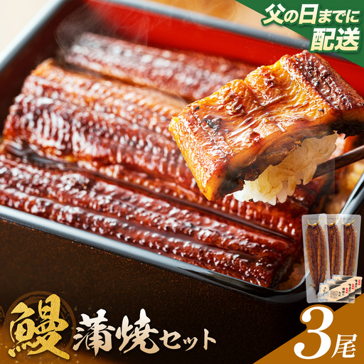 【父の日】 鰻 うなぎ 蒲焼き 3尾 (1尾約140g) タレ 山椒 付き 株式会社薩摩川内鰻《6月中旬-6月下旬頃出荷》