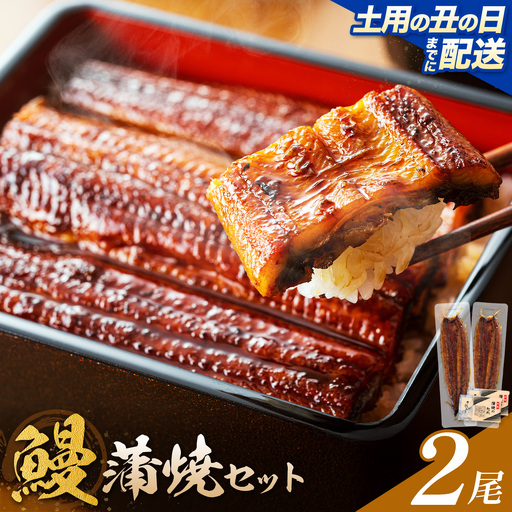 【土用の丑の日】 鰻 うなぎ 蒲焼き 2尾 (1尾約140g) タレ 山椒 付き 株式会社薩摩川内鰻《7月中旬-7月下旬頃出荷》