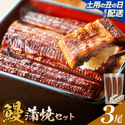 【土用の丑の日】 鰻 うなぎ 蒲焼き 3尾 (1尾約140g) タレ 山椒 付き 株式会社薩摩川内鰻《7月中旬-7月下旬頃出荷》