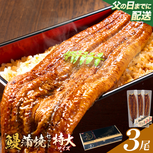 【父の日】＼特大サイズ／ 鹿児島県産 鰻蒲焼真空セット！3尾 タレ・山椒付！ 株式会社薩摩川内鰻 《6月中旬-6月下旬頃出荷》