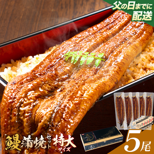 【父の日】＼特大サイズ／ 鹿児島県産 鰻蒲焼真空セット！5尾 タレ・山椒付！ 株式会社薩摩川内鰻 《6月中旬-6月下旬頃出荷》