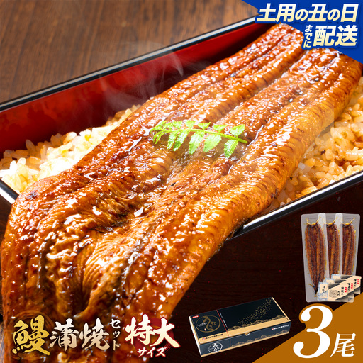 【土用の丑の日】＼特大サイズ／ 鹿児島県産 鰻蒲焼真空セット！3尾 タレ・山椒付！ 株式会社薩摩川内鰻 《7月中旬-7月下旬頃出荷》