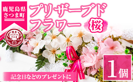 s106 ≪毎月数量限定≫プリザーブドフラワー(さくら)鹿児島県さつま町で大切に育てられた花を使用!記念日などのプレゼントインテリアにも◎ さつま町 特産品 鹿児島 花 フラワー プレゼント ギフト インテリア 記念日 誕生日 結婚祝い 祝い お供え[南原農園]