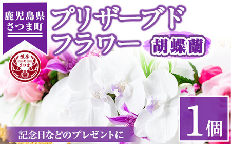 s108 ≪毎月数量限定≫プリザーブドフラワー(胡蝶蘭)鹿児島県さつま町で大切に育てられた花を使用!記念日などのプレゼントインテリアにも◎ さつま町 特産品 鹿児島 花 フラワー プレゼント ギフト インテリア 記念日 誕生日 結婚祝い 祝い お供え[南原農園]