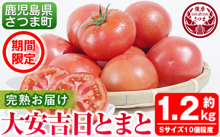 s199 さつま町産の大安吉日とまと(約1.2kg)完熟してから収穫した採れたてのトマトをお届け[市囿庄一]