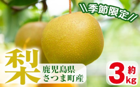 s112 [先行予約受付中!2025年8月下旬より順次発送予定][期間・数量限定]さつま町産の梨(3kg) 鹿児島 国産 なし ナシ フルーツ 果物 果実 果汁 旬 季節品 [市山梨花園]