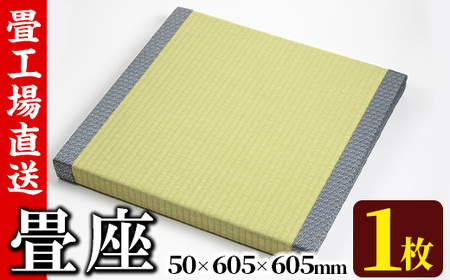 s293 《毎月数量限定》畳座（50×605×605mm・1枚）クッション性が高く耐久性も◎ さつま町 特産品 鹿児島 畳 たたみ 畳座 座布団 ざぶとん【宮畳工場】