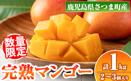 s410 ≪数量限定≫完熟マンゴー(化粧箱入り2〜3玉・計1kg) 鹿児島 国産 九州産 マンゴー フルーツ 完熟 果物 果実 ギフト プレゼント 贈答 [祝迫果樹園]