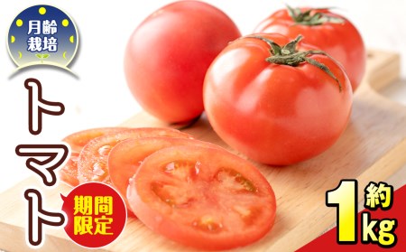 s471 [期間限定]月齢栽培で育てたトマト「月齢栽培トマト」(約1kg)鹿児島 国産 九州産 野菜 トマト とまと[上市農園]