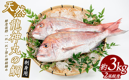 龍神丸水産の鯛 刺身用(約3kg)[龍神丸水産]ryujin-1203