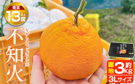 [先行予約]ながしまマンダリン王露地(不知火・紅)約3kg!国産 長島 果物 フルーツ 柑橘 みかん オレンジ おやつ セット 詰め合わせ[ながしまマンダリングループ]mandarin-1263