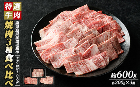 Yјa ēZbg Hה 3 (v600gEe200g)  [X Efyi`Nznanchiku-1311