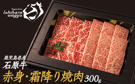Ό̐ԐgE~ēZbg(300g) Ό ēp ~ n[t Y  EV  ē BBQ o[xL[ r[t ⓀyΌPROzishihara-1348
