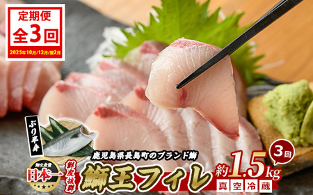 [定期便・2ヶ月 全3回] 鰤王フィレ 定期便 長島町特産「鰤王」フィレ 約1.5kg×1枚 国産 鹿児島県産 産地直送[JFA]jfa-1483B