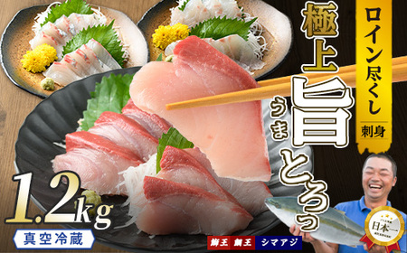 [お刺身用]ロイン3種詰め合わせ 約1.2kg 切って盛るだけ ロイン 鰤王2節 鯛王4節 シマアジ4節 テレビで紹介ぶりの王様「 鰤王 」 届いてすぐに食べれる 長島町 冷蔵 ふるさと納税 [JFA]jfa-1498
