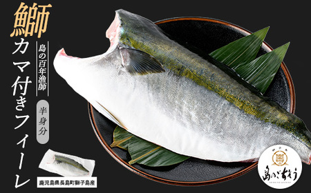[先行予約]獅子島産 百年漁師の鰤 カマ付きフィーレ1パック (半身分) [島のごちそう]gochi-1314