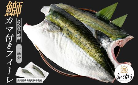 [先行予約]獅子島産 百年漁師の鰤 カマ付きフィーレ2パック (1匹分) [島のごちそう]gochi-1315