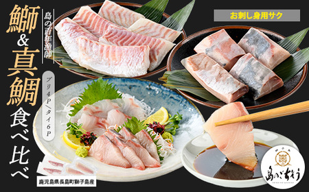獅子島産 百年漁師の鰤 (約150g×4P) と真鯛 (約100g×6P) お刺身用サク食べ比べ[島のごちそう]gochi-1335
