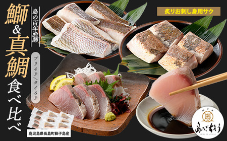 獅子島産 百年漁師の鰤 (約150g×4P) と真鯛 (約100g×6P) 炙り刺身サク食べ比べ[島のごちそう]gochi-1336