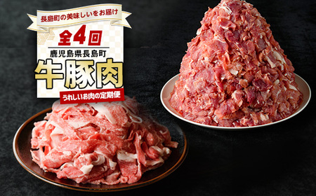 [定期便・毎月発送全4回] うれしいお肉の定期便 鹿児島県産 豚肉 切り落とし (計4kg・500g×8P) 黒毛和牛 切り落とし (計600g・300g×2P) [コワダヤ][宮路ファーム]nagashima-1520