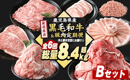 [定期便全6回]黒毛和牛&豚肉定期便 総重量8.4kg超 赤身 ロース 豚 ミンチ ロースかつ 豚肉 牛肉 切り落とし サーロイン 豚ロース しゃぶしゃぶ すき焼き [スターゼン]starzen-1535