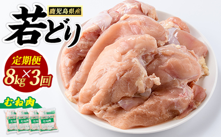 [定期便・全3回] 鹿児島県産 若鶏ムネ肉(計8kg・2kg×4袋) 鶏むね肉 小分け 鶏肉 むね肉 鶏肉 むね [まつぼっくり] 