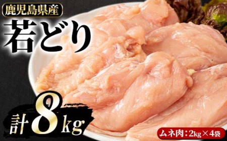 【数量限定】まつぼっくり　若鶏ムネ肉8kg_ matu-947