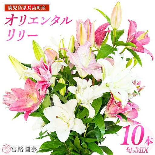 オリエンタルリリー（ユリ）旬のミックス 10本 ユリ 花 ユリの花 百合 ゆり 生花 切花 切り花 【宮路園芸】miyaji-7005