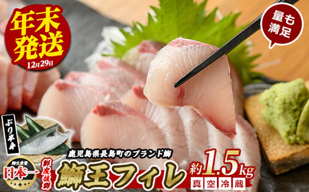 ＜数量限定＞【12月29日発送】ぶりの王様「 鰤王 」 フィレ (約1.5kg・フィレ1枚) 産地直送 新鮮 旨味が抜群の 長島町 特産品 ブランド ぶり 鰤 ブリ 切り身 真空 冷蔵 刺身 ぶりしゃぶ しゃぶしゃぶ 魚 魚介 人気 ランキング 【JFA】_jfa-6f-1229