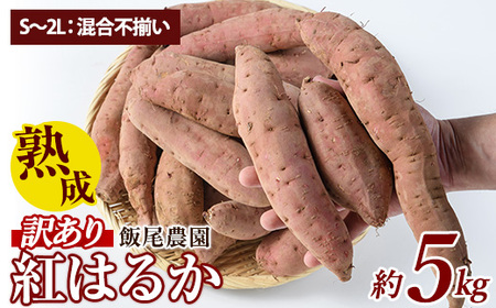 [ 訳あり ]飯尾農園 熟成 紅はるか 約5kg 芋 いも さつまいも サツマイモ 鹿児島県産 国産 長島町産 べにはるか 熟成[飯尾農園]miio-874