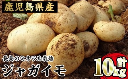 長島のミネラル栽培ジャガイモ10kg_eguchi-5351