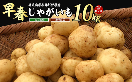 ys\zʁEԌ聄zbNzNÂɓYtႪ(10kg)y{foodszhorino-868