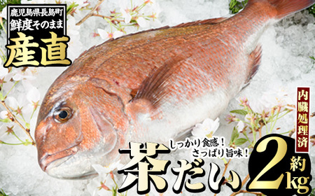 茶鯛 1尾 (約2kg)[ウスイ]usui-1034