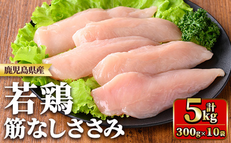 y534 Y{؂Ȃ(v5kgE250g×20) Y BY Y {  { Ƃ { Ⓚ  TT~ ؂Ȃ  ^ yTRINITYz