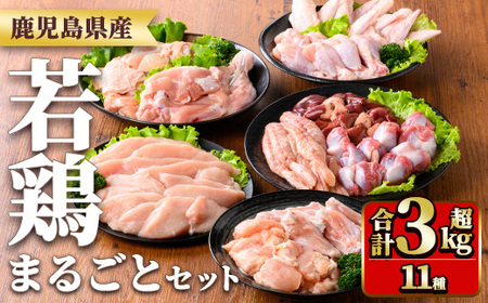 y539 鹿児島県産若鶏まるごとセット(合計3.05kg) 国産 鶏肉 鳥肉 肉 若鶏 お肉 もも肉 モモ肉 むね肉 ムネ肉 胸肉 ささみ ササミ 筋なし 砂肝 肝 手羽先 キチンリブ 手羽元 肩肉 小肉 骨付きモモ セット 詰め合わせ 小分け 冷凍 真空パック 食べ比べ [TRINITY]