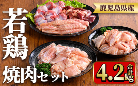 y548 Y{ēZbg(6Ev4.2kg) Y {   {      H  `L `Lu Zbg lߍ킹 Ă ē ₫ɂ  Ⓚ ^