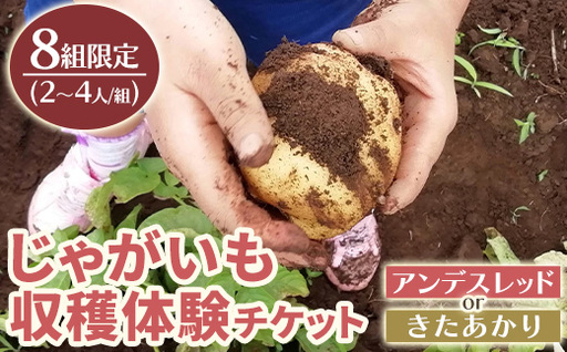 湧水町じゃがいも収穫体験チケット(1列分) 収穫 収穫体験 体験 チケット ジャガイモ 芋 招待券 レジャー 観光 旅行 お土産 おみやげ 持ち帰り 自然 農業体験[中津川ファーム]_y593