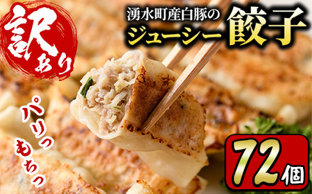 y302 湧水町産白豚のジューシー餃子 計60個(12個入×5P)便利な冷凍ギョーザ！タレ付き【財宝】