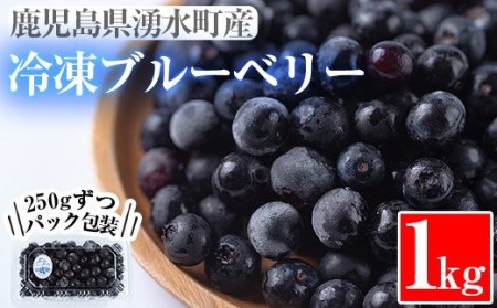 y228 《数量限定》湧水の冷凍ブルーベリー(1kg) 冷凍 国産 九州産 鹿児島県産 くだもの 果物 フルーツ シャーベット ジャム フローズン ベリー おやつ デザート【神田茶園】